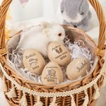 Conejito de Pascua personalizado Tema de Pascua Huevo de Pascua de madera Musical Shaker con nombre de texto y año Cesta de relleno de Pascua Regalo para Bebés Niños