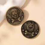 Personalized Paw Print Bone 3D Pet Photo Retro Memorial Coin with Name and Transparent Storage Case Pet Remembrance Gift for Pet Owner Pet Lover