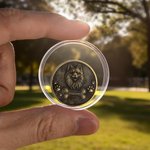 Personalized Paw Print Bone 3D Pet Photo Retro Memorial Coin with Name and Transparent Storage Case Pet Remembrance Gift for Pet Owner Pet Lover