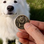 Personalized Paw Print Bone 3D Pet Photo Retro Memorial Coin with Name and Transparent Storage Case Pet Remembrance Gift for Pet Owner Pet Lover