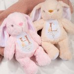 My First Easter Peter Rabbit Plush Stuffed Animal Toy Personalised Name and Year Easter Gift for Kids Newborns