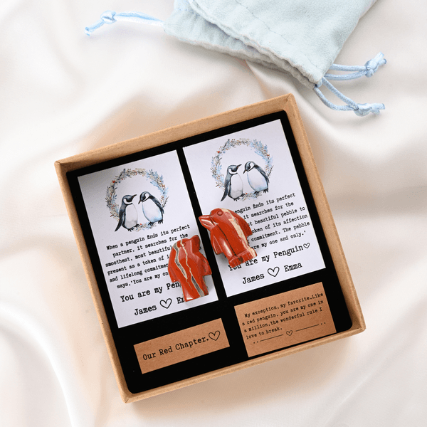 Personalized You Are My Penguin Design Red Penguin Pebble with Card Velvet Bag and Gift Box Birthday Anniversary Gift for Couples