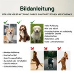Personalisierter Hundenapf aus Edelstahl mit Hundefoto und Namen Lebensmittelqualität rutschfester Futternapf Geburtstag Geschenk für Haustierbesitzer