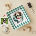 Personalisierte Ölmalerei Stil Haustier Foto karierten Platz Keramik Schmuck Schale mit Namen Haustier Memorial Day Geschenk für Tierbesitzer Liebhaber