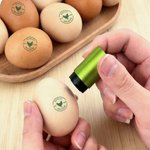 Tampon d'œuf sécurisé avec encre de qualité alimentaire Nom Texte et année Cadeau d'anniversaire pour la famille Fermier Éleveur