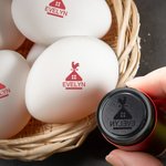 Tampon d'œuf sécurisé avec encre de qualité alimentaire Nom Texte et année Cadeau d'anniversaire pour la famille Fermier Éleveur