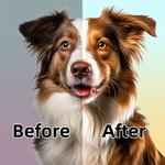 Personalisierte Ölmalerei Stil Haustier Foto karierten Platz Keramik Schmuck Schale mit Namen Haustier Memorial Day Geschenk für Tierbesitzer Liebhaber