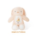 Henkilökohtainen My First Easter Bunny Butterfly Pehmustettu Plush Bunny Toy nimi ja vuosi pääsiäisen syntymäpäivälahja lapsille