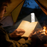 Personalized Birth Flower Butterfly LED Rechargeable Light Clip with Name Reading Accessories Birthday Gift for Book Lovers Friends