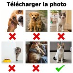 Pyjama à manches longues personnalisé avec photo de l'animal et texte Cadeau anniversaire pour les propriétaires d'animaux de compagnie