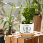 Personalised Angel Halo Pet Line Design Ceramic Succulent Planter Pot with Name and Bamboo Tray Loss of Pet Memorial Gift for Pet Owner