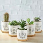 Personalised Angel Halo Pet Line Design Ceramic Succulent Planter Pot with Name and Bamboo Tray Loss of Pet Memorial Gift for Pet Owner