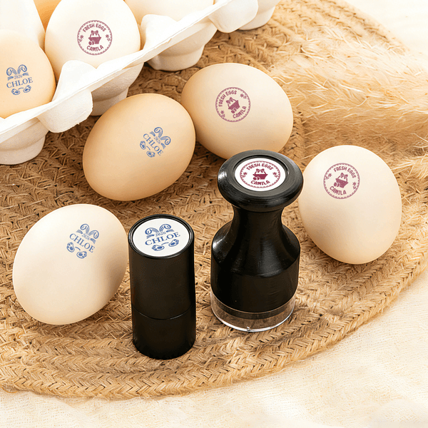 Sello Personalizado Silueta Conejo Huevo Sello de Cartón con Tinta Alimentaria Nombre y Texto Pascua Cumpleaños Regalo para Familia Agricultor