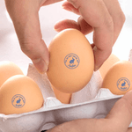 Sello Personalizado Silueta Conejo Huevo Sello de Cartón con Tinta Alimentaria Nombre y Texto Pascua Cumpleaños Regalo para Familia Agricultor