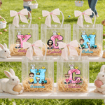 Personalized Cute Cartoon Character Initial Easter Gift Bag with Name and Bow Easter Party Gift for Children