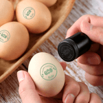 Sello Personalizado Silueta Conejo Huevo Sello de Cartón con Tinta Alimentaria Nombre y Texto Pascua Cumpleaños Regalo para Familia Agricultor