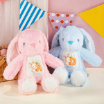 Personalised Cute Rabbit Bunny Easter Bunny Stuffed Toy with Name and Initial Easter Egg Hunt Gift for Kids Boys Girls