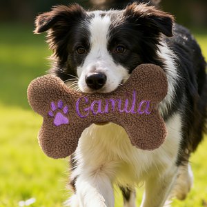 Personalised Bone Pet Toy with Embroidered Name Dog Training Birthday Gift for Dog Owner Pet Trainer