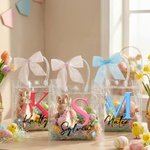 Personalised Cute Peter Rabbit Initial Clear Gift Bag with Name and Pink Bow Ribbon Easter Egg Hunt Party Favors Gift for Kids