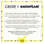 Gepersonaliseerde langstaart Marsupilami PU lederen sieraden doos met naam Verjaardag Verjaardagscadeau voor meisjes | Callie × Marsupilami ®