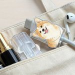 Henkilökohtainen akvarelli Pet Photo Set of 2 akryyli kaapeli Protector nimi iPhone Type-C puhelin lisävaruste lahja lemmikkieläinten rakastaja lemmikin omistaja