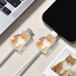 Henkilökohtainen akvarelli Pet Photo Set of 2 akryyli kaapeli Protector nimi iPhone Type-C puhelin lisävaruste lahja lemmikkieläinten rakastaja lemmikin omistaja