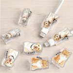 Henkilökohtainen akvarelli Pet Photo Set of 2 akryyli kaapeli Protector nimi iPhone Type-C puhelin lisävaruste lahja lemmikkieläinten rakastaja lemmikin omistaja