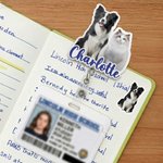 Personalized Photo Design Retractable Acrylic ID Card Badge Reel with Name Appreciation Birthday Gift for Nurse Doctor Medical Staff