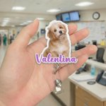 Personalized Photo Design Retractable Acrylic ID Card Badge Reel with Name Appreciation Birthday Gift for Nurse Doctor Medical Staff