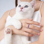 Personalised 1-5 Birthstone Cat Paws Sterling Silver Ring Dainty Jewellery Birthday Holiday Gift for Cat Lovers Pet Owners