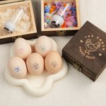 Gepersonaliseerde Kipsilhouet Eivriendelijk Eierstempel met Naam Voedselveilige Inkt en Opbergdoos Verjaardagscadeau voor Familie Boeren en Fokkers