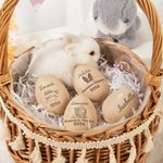 Œuf de Pâques en bois personnalisé avec texte nom et année - Cadeau de Pâques pour bébés enfants