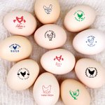 Gepersonaliseerde Kipsilhouet Eivriendelijk Eierstempel met Naam Voedselveilige Inkt en Opbergdoos Verjaardagscadeau voor Familie Boeren en Fokkers