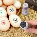 Gepersonaliseerde Kipsilhouet Eivriendelijk Eierstempel met Naam Voedselveilige Inkt en Opbergdoos Verjaardagscadeau voor Familie Boeren en Fokkers