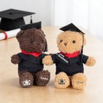 Personalized Cute Bachelor Cap Plush Teddy Bear Stuffed Toy with Name and School Badge Class of 2026 Graduation Gift for Kids Graduates