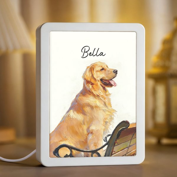 Personalisierte Ölgemälde Stil LED Fotorahmen Spiegel mit Namen Memorial Sympathie Geschenk für Tierbesitzer