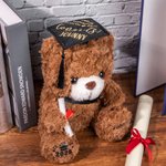 Orsacchiotto di peluche personalizzato con nome e distintivo della scuola e regalo per il diploma scolastico