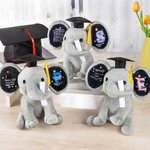 Personalisierte Elefant Keepsake Spielzeug mit anfänglichen Namen Jahr Klasse von 2026 Schule Grad Geschenk für Absolventen
