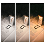 Personalized Cartoon Character LED Rechargeable Light Clip with Name and Birth Flower Reading Accessories Birthday Gift for Book Lovers Friends