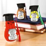 Gepersonaliseerde Leuke Kwast Grad Cap Pompoen Aardappel Avocado Handgemaakte Gehaakte Pop met Naam en Jaar Desktop Decor Afstudeerfeest Cadeau voor Afgestudeerden