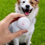 Tampon de balle de golf personnalisé avec visage d'avatar Marque d'identification de balle Cadeau d'anniversaire Cadeau d'entraînement pour joueurs de golf enthousiastes