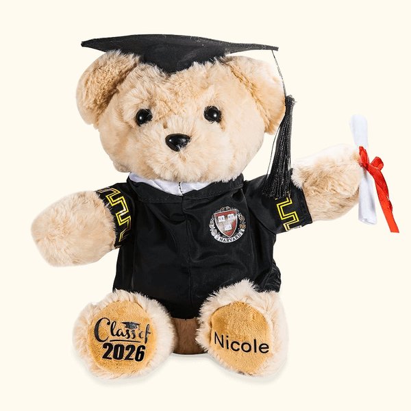 Personalisierte niedliche Graduierung Teddybär Plüschtier mit Namen und Schule Abzeichen Graduierung Geschenk für Klasse von 2026 Absolventen