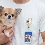 Personnalisé aquarelle 1-3 photos d'animaux de compagnie Badge rétractable avec nom et breloque patte pailletée Cadeau d'anniversaire pour le personnel médical Amoureux des animaux de compagnie