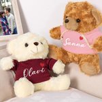 Personoitu söpö täytetty sydänkarhu t-paita tai huppari nimikirjolla täydellinen ystävänpäivä ja vuosipäivälahja parille valokuvausrekvisiittana