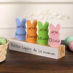 Set de décorations lapin personnalisées avec nom et texte imprimés sur 1-15 lapins - Cadeau de Pâques pour la famille et les enfants