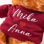 Personoitu söpö täytetty sydänkarhu t-paita tai huppari nimikirjolla täydellinen ystävänpäivä ja vuosipäivälahja parille valokuvausrekvisiittana