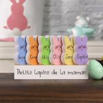 Set de décorations lapin personnalisées avec nom et texte imprimés sur 1-15 lapins - Cadeau de Pâques pour la famille et les enfants
