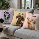 Housse d'oreiller personnalisée avec photo de l'animal de compagnie Multi-Color Imitation Embroidery Effect avec nom Décoration de la maison Cadeau d'anniversaire pour les amoureux des animaux de comp