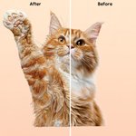 Housse d'oreiller personnalisée avec photo de l'animal de compagnie Multi-Color Imitation Embroidery Effect avec nom Décoration de la maison Cadeau d'anniversaire pour les amoureux des animaux de comp