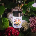 Personalized Paw Print Dog Silhouette Soft Glow Solar Garden Light with Name and Text Memorial Sympathy Gift for Dog Owner Pet Lover